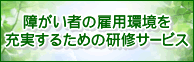 障がい者雇用促進支援サービス